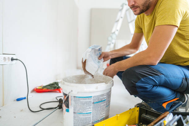 Best Drywall Removal and Disposal  in Whitney Point, NY